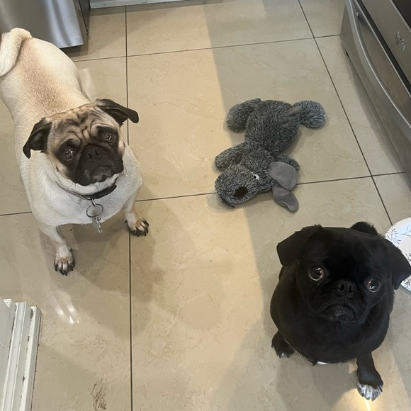 πPOSH FEE CHART π²π³π - Picture 3 of 3